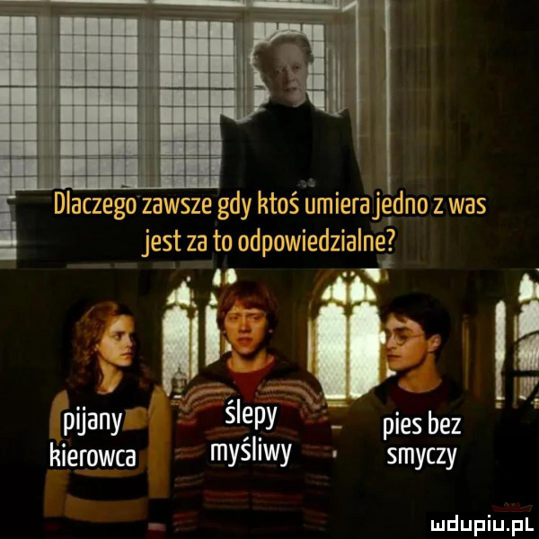 dlaczego zawsze gdy ktoś umierajędno z was jest za to odpowiedzialne  a i ł pijany ślepy ź pies bez kierowca myśl iwy smyczy