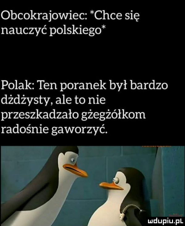 obcokrajowiec chce się nauczyć polskiego polak ten poranek był bardzo dżdżysty ale to nie przeszkadzało gżegżółkom radośnie gaworzyć
