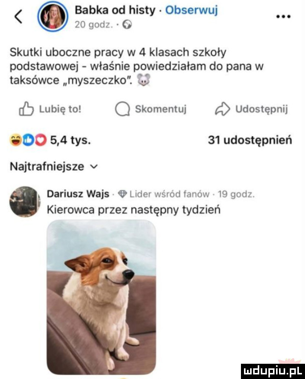 babka od histy obserwuj skutki uboczne pracy w   klasach szkoły podstawowej właśnie powiedziałam do pana w taksówce myszeczko. u lubię to q skomentuj udostępnij ooo     ws    udostępnień najtrafniejsze v dariusz wpis   lider wśród vanow    godz kierowca przez następny tydzień