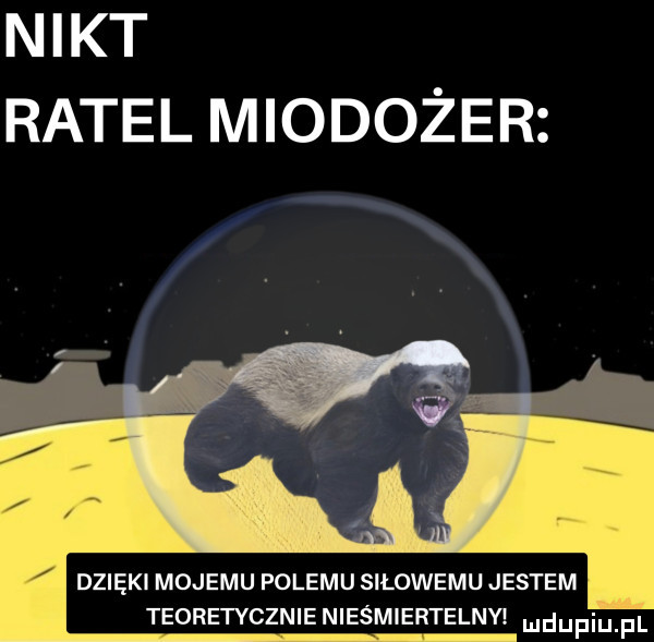 nikt ratel miodożer dzięki mojemu pelemu silowemu jestem teoretycznienieśmiertelny