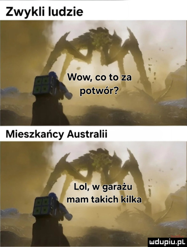 Obrazek