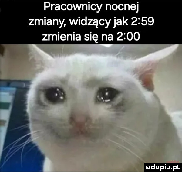 pracownicy nocnej zmiany widzący jak      zmienia się na