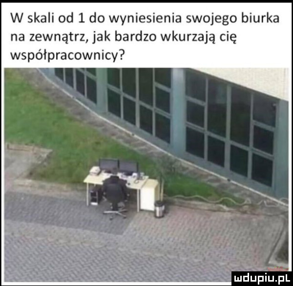w skali od   do wyniesienia swojego biurka na zewnątrz jak bardzo wkurzają cię współpracownicy