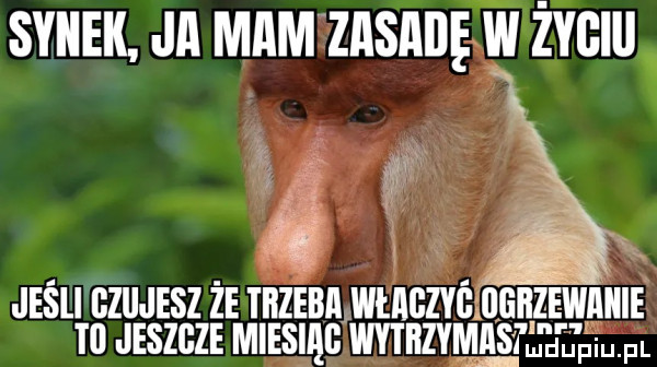 synek ja mamzasabew żygiij jeśli gziijesz że tbzebreweagzyehgiizewaiiie tl jeszcze miesiąc wﬂﬂﬂwﬂ ﬂiium