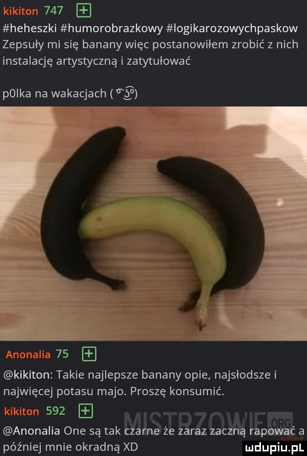 heheszki humorobrazkowy logikarozowychpaskow zepsuły mi się banany więc postanowiłem zrobić z nich instalację artystyczną i zatytułować polka na wakacjach    ch    kikiton takie najlepsze banany opie najsłodsze i najwięcej potasu majo. proszę konsumić.     anomalia one są tak czarne że zaraz zaczną rapować a później mnie okradną xd