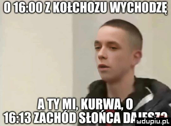 słonia bae f f