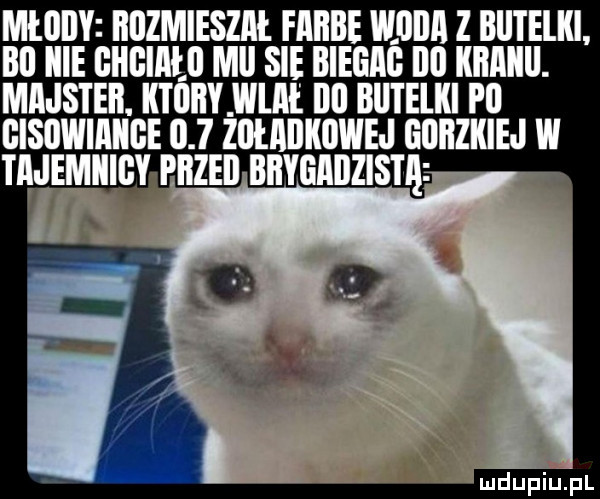 młody iiiizmieszm. fibbe mnnz butelki. bi icie giigiałii mii się biegi dni llllﬂllll. majster. ktiiiiyhij. ibl butelki i ll gisowiaiige     zohibkiiwej gbhzkiej w tajemiiigy przed bbygaiizis ią