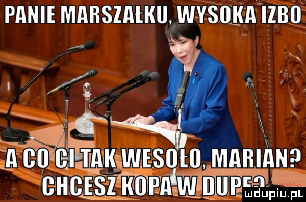 panie marszałkii. wysokmzbu aan aelaqam wiata mariana ahaalz aaaa w nuaaam