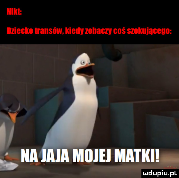 ilikl iiziegihi iiaiisiwl. iledv zonaczv coś sznlulącegn miiiei matke ludupiu. pl