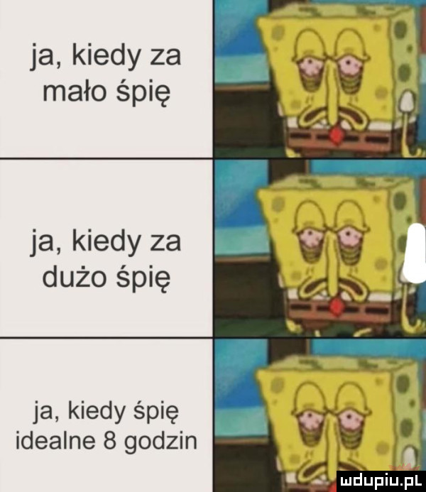 ja kiedy za mało śpię ja kiedy za dużo śpię ja kiedy śpię idealne   godzin j ludupiu. pl