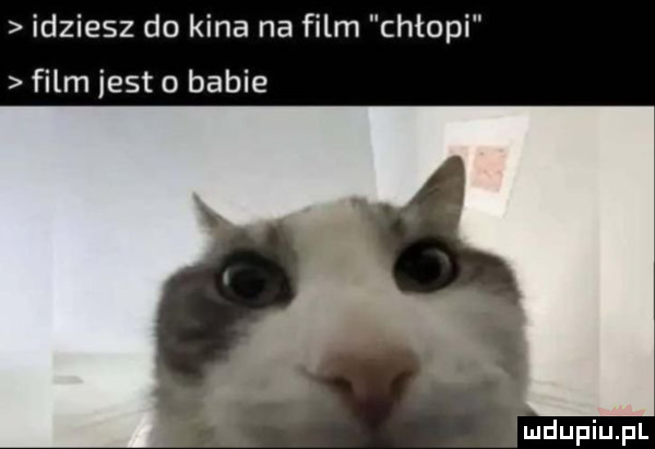 idziesz do kina na film chłopi film jest babie