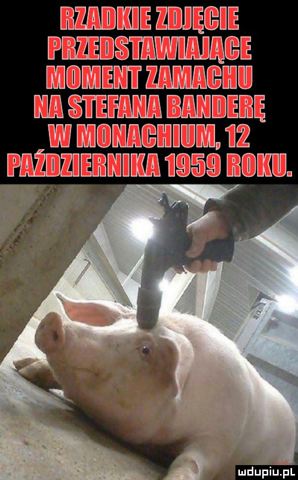 ib a wie where mebsśfemimeee m medw hebrew bmx wie hebe w mjimxeeehuudwd uz wmuehsdsumx hﬁﬂlﬂiﬂﬂn