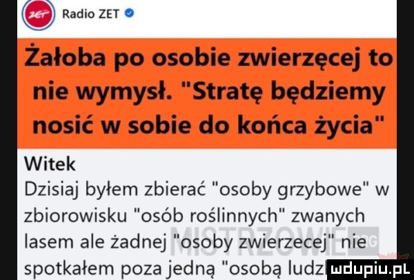 o radio zet. żałoba po osobie zwierzęcej to nie wymysł. stratę będziemy nosić w sobie do końca życia witek dzisiaj byłem zbierać osoby grzybowe w zbiorowisku osób roślinnych zwanych lasem ale żadnej osoby zwierzecej nie spotkałem poza jedną osobę ludz