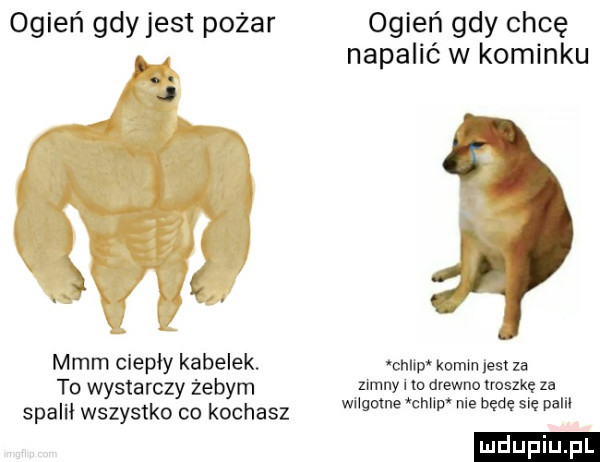 ogień gdy jest pożar j   mmm ciepły kabelek. to wystarczy żebym spalił wszystko co kochasz ogień gdy chcę napalić w kominku r.   i cnnp komin les za zimny i m drewno lroszkę za wiigolne chap nie będę się palii
