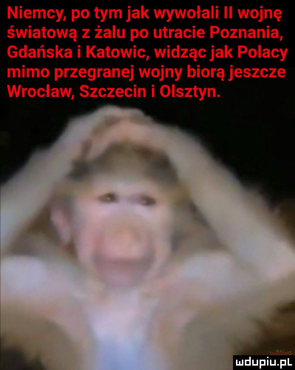 niemcy po tym jak wywołali ll wojnę światową z żalu po utracie poznania gdańska i katowic widząc jak polacy mimo przegranej wojny biorą jeszcze wrocław szczecin i olsztyn