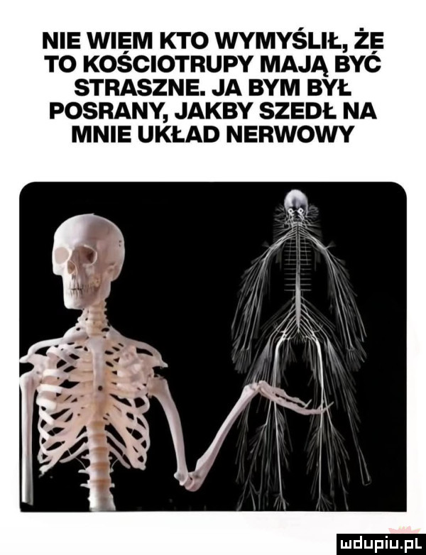 nie widm kto wymyślił że to kościotrupy mają b yć straszne. ja bym był posrany jakby szedł na mnie układ nerwowy