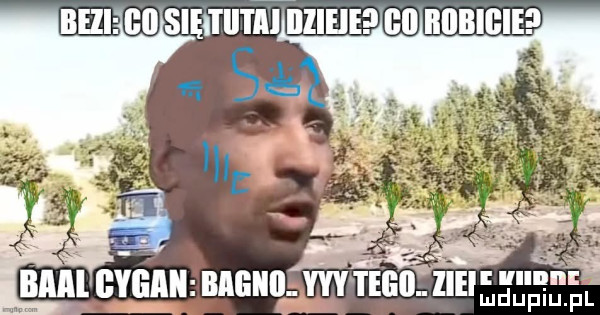 bam cvunn bigiiii m tegil lee