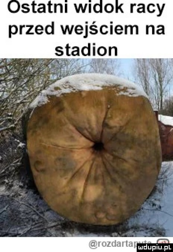 istatnl mo   racy przed wejściem na stadion   n