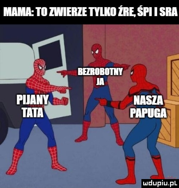 mmleiielenminesl ilsnn