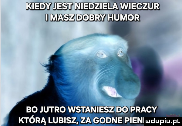 magma w wmhumor bo jutro wstaniesz mp pracy którą lubisz gaseous pien mdupiupl