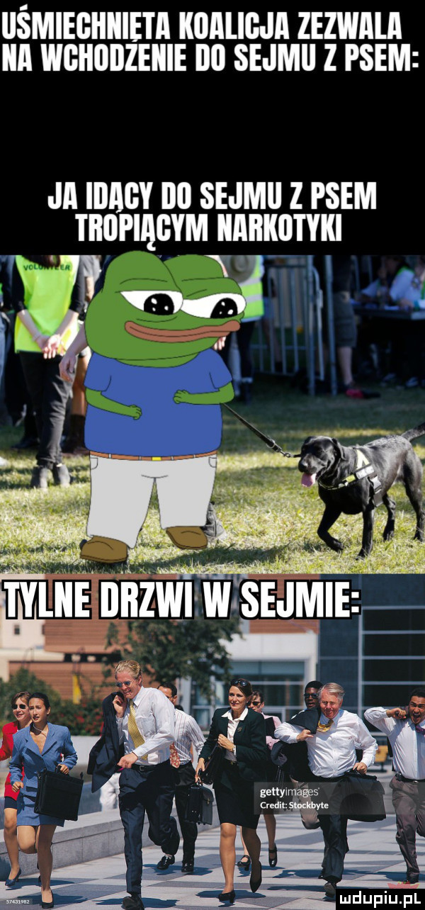 iiśmieghiiieta koalicji zezwiiui ica wghoiizeiiie illl sejmii z psem ja iiiagy no sejmii z psem tropięgym narkotyki w