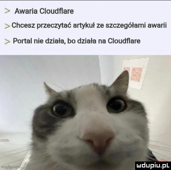 awaria cloudﬂare chcesz przeczytać artykul ze szczegółami awarii w portal nie działa bo działa na cloudflare wmgłhnmrv