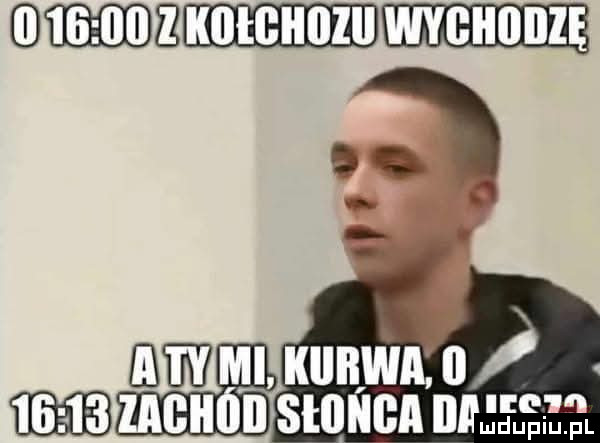 słonia m     f f