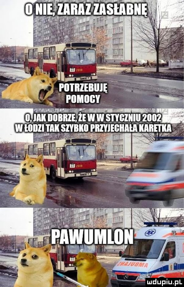 lu li u jn e minimum piimiigy