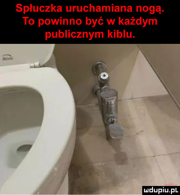 spłuczka uruchamiana nogą. to powinno być w każdym publicznym kiblu. ludu iu. l