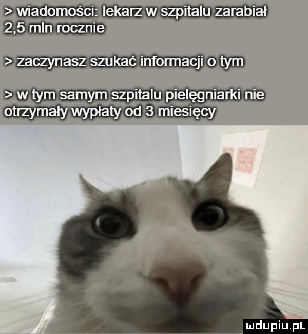 lekarz w szpitalu zarabiał zaczynasz szukać informacji o tym