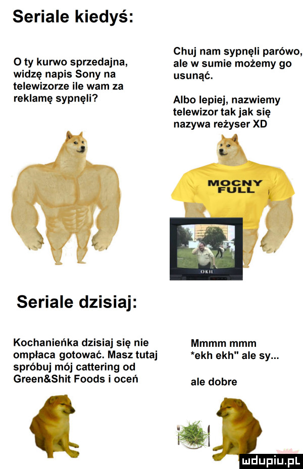 seriale kiedyś   ty kurwo sprzedajna widzę napis sony na telewizorze ile wam za reklamę sypnęli seriale dzisiaj kochanieńka dzisiaj się nie omplaca gotować. masz tutaj spróbuj mój cattering od green skit foods i oceń chuj nam sypneli parówo ale w sumie możemy go usunąć. albo lepiej. nazwiemy telewizor tak jak się nazywa rezyser xd mmmm mmm ech ech ale sy. ale dobre