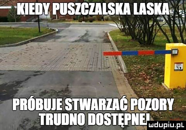 kieiiy piiszgzalska akme rnńnulismnnućęiniżnnv mam unsnęruumw