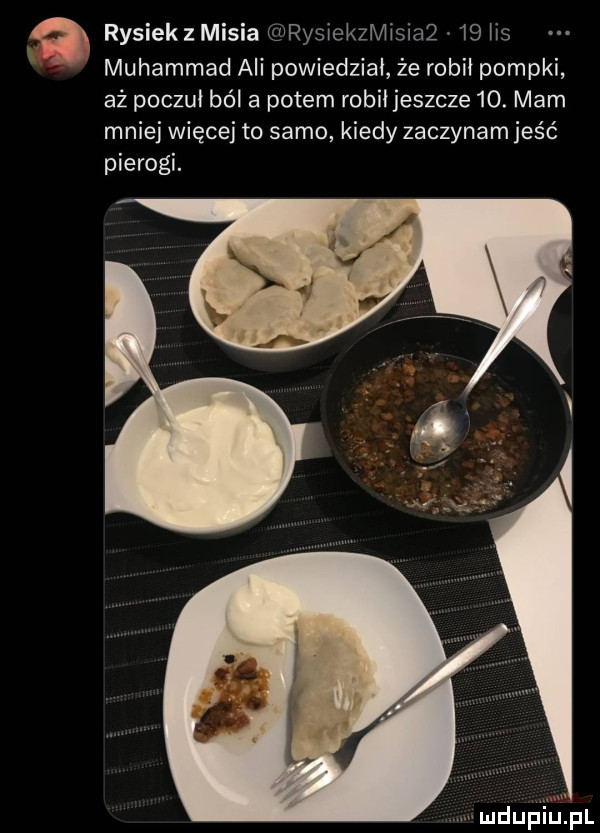 rysiekz misia rysiekzmisiaq    lis muhammad ali powiedział że robił pompki aż poczuł ból a potem robił jeszcze   . mam mniej więcej to samo kiedy zaczynam jeść pierogi
