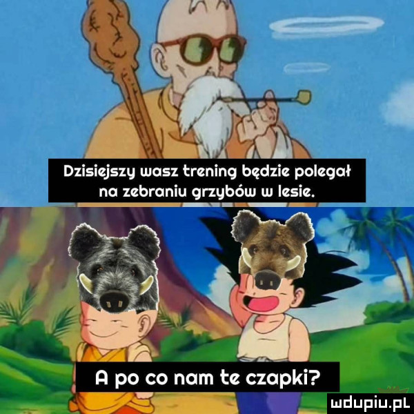 l. dzisiejszy masz trening bedzie polegał na zebraniu grzybów w lesie. n po co nam te czopki uuupiu m