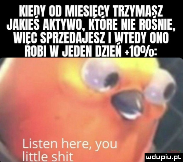 kiedy lal miesieey tbzymiisz jakies aktowi. ktore icie boskie. wilg sprzeda elz wtedy iiiiii huki w jeiieii ilzieii    listen here y-u tale skit o