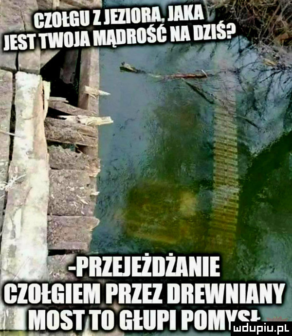 ciuteii l óni l nm esrmummnn auscunllssg i fg minimum czułam racz nnmnuugv igmusrggjatun rum fffffeff an