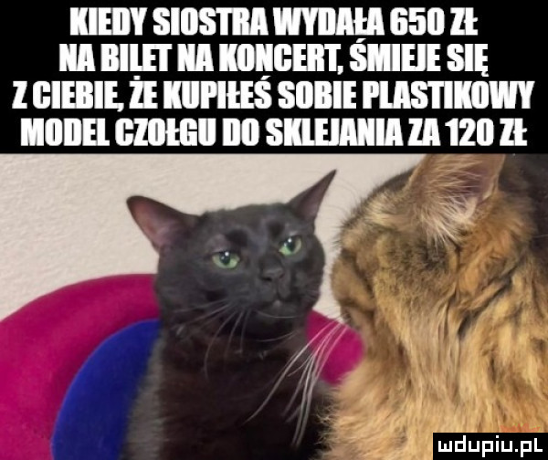 iieiiy siostra mucu     ll ibl illl l l iii iiiigeii i śmieje się l ciebie. że iiipieś skibie i lis i iilw llllllﬂ. glllﬂill illl siihaiiia ia  ii ll lf ﬁaﬁpiupl