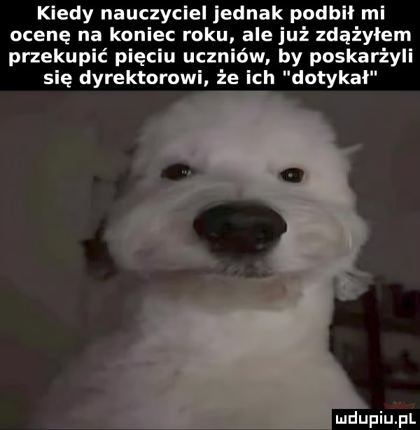 kiedy nauczyciel jednak podbił mi ocenę na koniec roku ale już zdążyłem przekupić pięciu uczniów by poskarżyli się dyrektorowi że ich dotykał