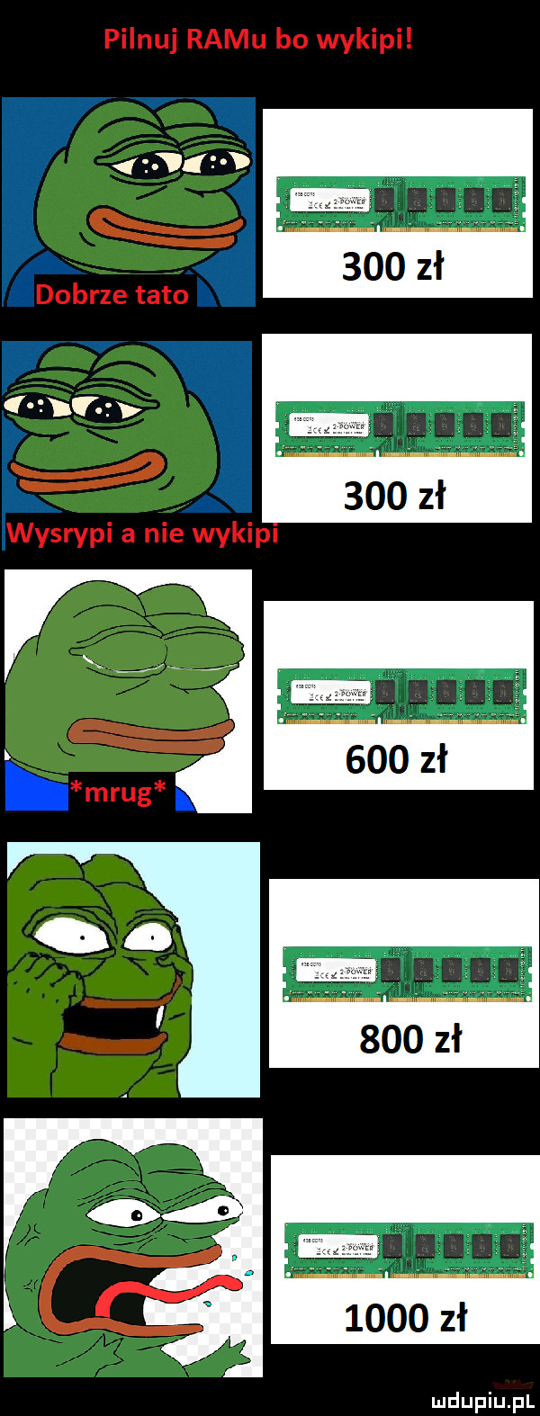 pilnuj romu bo wykipi