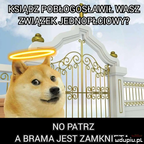 ksiądz p bl g slawilw wjeidnoplgmwy no patrz a brama jest zbm kniewu piu pl