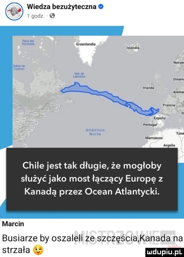 wiedza bezużyteczna a umundu mm. main  mm mu mam www w w m w. chile jest tak długie że mogłoby służyć jako most łączący europę z kanadą przez ocean atlantycki. marcin buciarze by oszaleli ze szczes ciakanada na strzała o