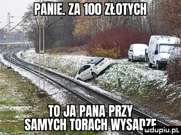 in. nin ppz snmvcnmnncnwv pam