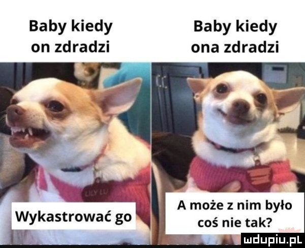 baby kiedy baby kiedy on zdradzi ona zdradzi a może z nim było coś nie tak wykastrować go