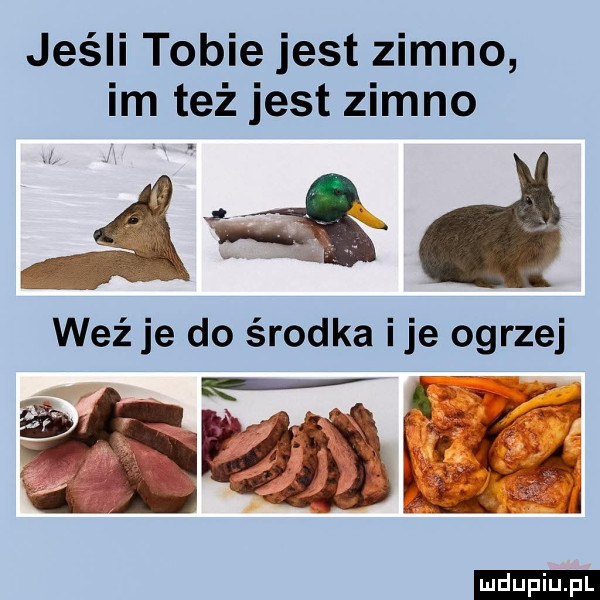 jeśli tobie jest zimno im też jest zimno w as weź je do środka ice ogrzej a     idu