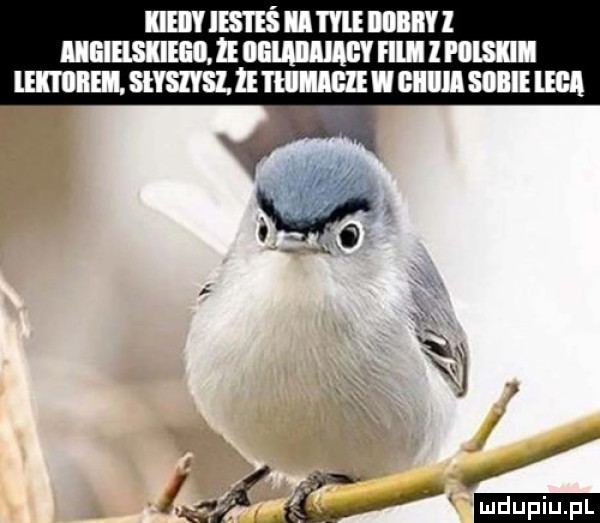 iihiyies iiśiihieiiibi emma lw fell l pii i umnmsnszmummwemscmm w i