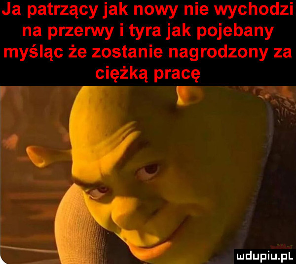 ja patrzący jak nowy nie wychodzi na pszenny i tyra jak pojebany myśląc że zostanie nagrodzony za ciężką pracę