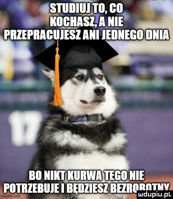 sj iiiiiiij i il bai. ikiigiiasz a hme piizepiiabiiiesi akii ieiiiiegii iliria bai illll l kiiiiwi tego hme i ii i biebiije i bęiiiiesi beiiiiimt ludupiu. pl