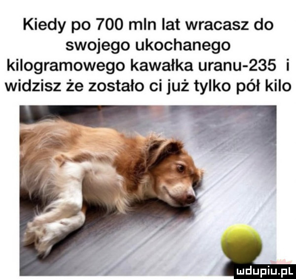 kiedy po     mln lat wracasz do swojego ukochanego kilogramowego kawałka uranu     i widzisz że zostało ci już tylko pół kilo
