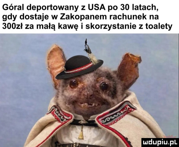 góral deportowany   usa po    latach gdy dostaje w zakopanem rachunek na      za małą kawę i skorzystanie z toalety