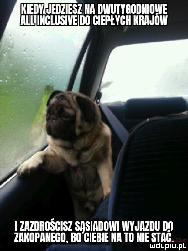 kiedy jeilziesz ica iiwiiwgijiiiiiiiwe m iiigiliisive ibl giepłygii krajow i zazbbośgisz sasiaiiowi wyjazdu l zakiipaiiegii. bai glebie ica tl icie szag. mduplu pl
